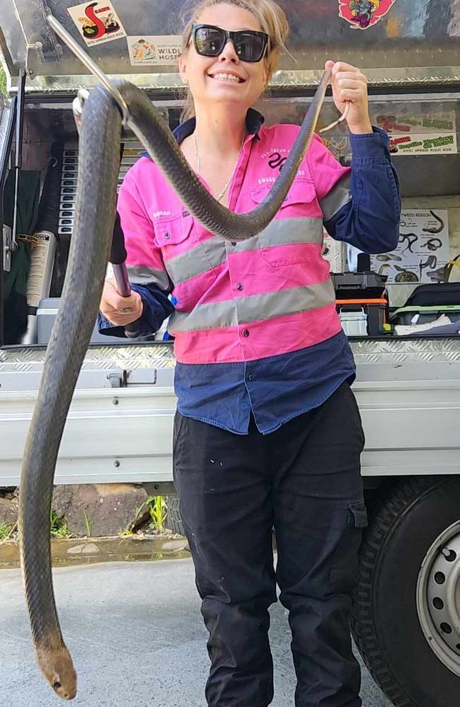 Sarah Mailey from I'll Catch it Snake Relocations with a sizeable snake.