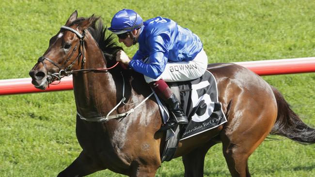 Flow will give plenty of cheek again at Rosehill on Saturday.