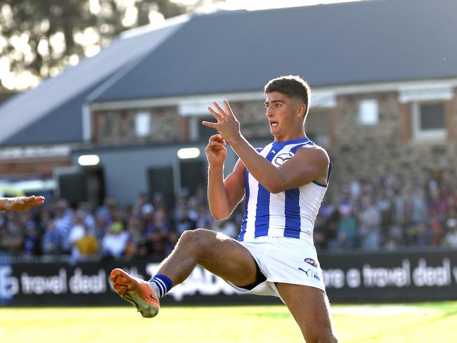 North Melbourne's Harry Sheezel has had a stunning start to his career. Picture: Phil Hillyard