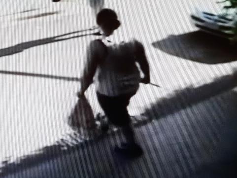 CCTV image of woman allegedly carrying the knife used in the attack. A GRUESOME stabbing involving two housemates in Ascot Vale is being investigated by police. A temporary resident, aged 32, allegedly used a kitchen knife to stab her 32-year-old male housemate at Dragon Village accommodation on Epsom Rd on Saturday afternoon.