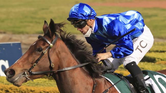 Vangelic has come through her Silver Eagle ordeal unscathed and is ready for Saturday’s The Invitation. Picture: Getty Images
