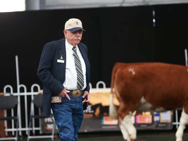 Royal Melbourne Show cattle judging | The Weekly Times