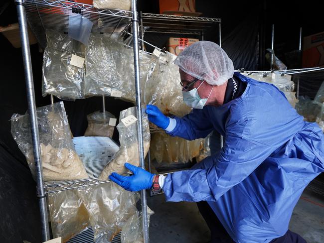 Police have seized 766kg of MDMA powder in one of Queensland and Australia’s most significant drug seizures.