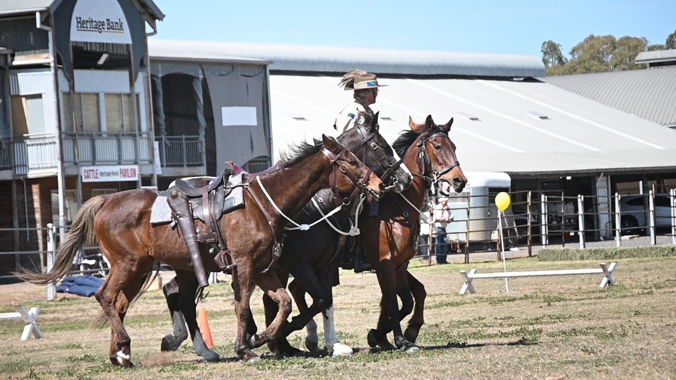 Queensland Mounted Infantry Challenge at the Toowoomba Showgrounds.