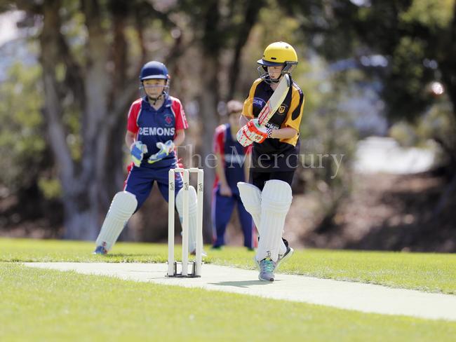 Junior cricket gallery | The Mercury