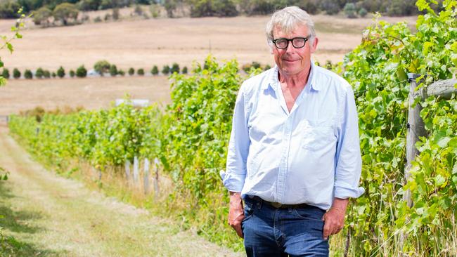 Retired forensic pathologist Dr Chris Lawrence among his vines at his home in Richmond. Picture: Linda Higginson