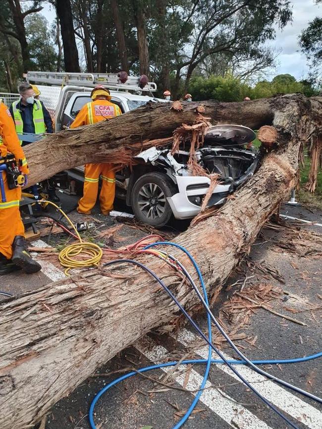 A tree fell on the car in Mt Evelyn. Picture: Lilydale SES