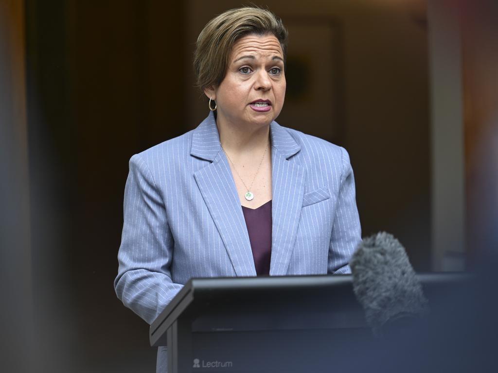 Michelle Rowland held a press conference at Parliament House in Canberra on November 6 to outline the plan with Mr Albanese. Picture: NewsWire / Martin Ollman