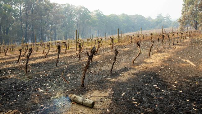 The remains of Jinks Creek Winery in Tonimbuk. Picture: Mark Stewart