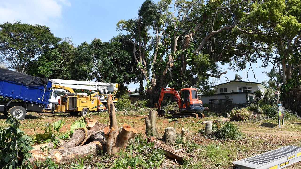 Residents hit out as century-old trees toppled | The Courier Mail