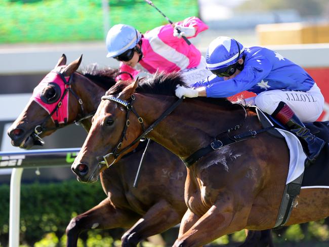 Winner race 1, #12 Snow Fields ridden by Jeff Lloyd. Doomben races. Pic Darren England.