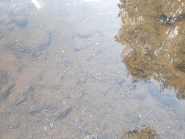 Debris can be seen floating down the river as the sandbags start to decay, buried under the cement slab of the newly constructed bed crossing. Photo: Barbara George