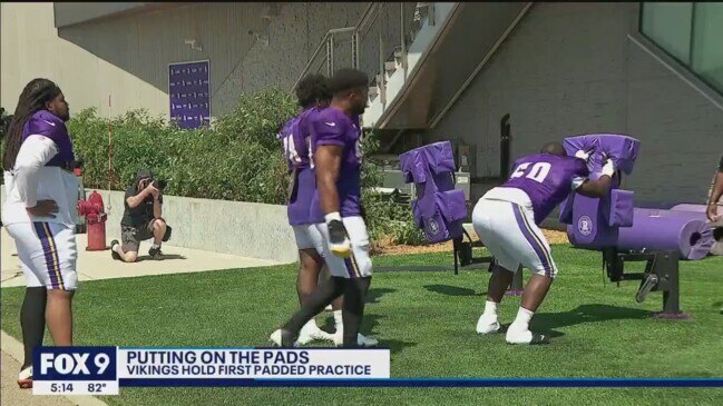 minnesota vikings fox 9