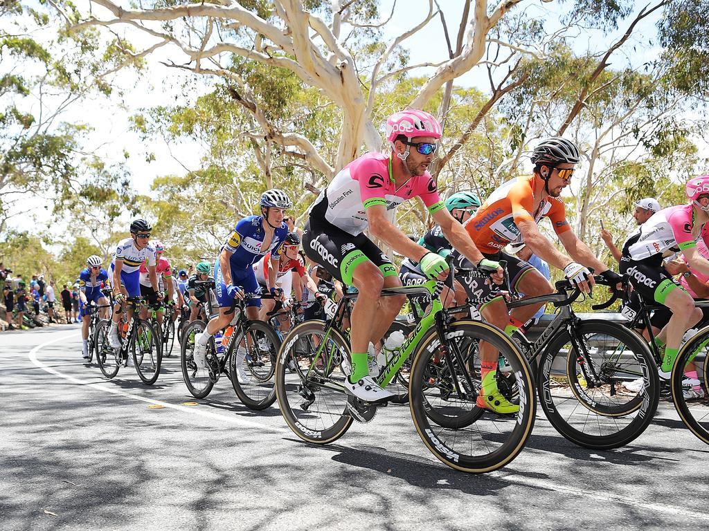 Stage 4 winner Peter Sagan flanks the peloton up Willunga Hill. Photo by Daniel Kalisz/Getty Images