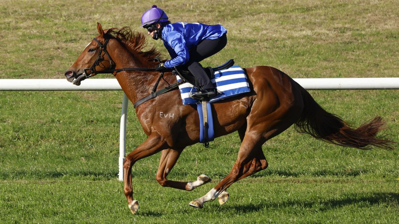 Randwick Barrier Trials