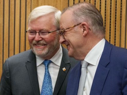 Anthony Albanese insists Kevin Rudd is doing a good job.