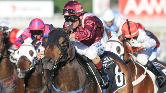 Robbie Fraad partners White House Girl for trainers Toby and Trent Edmonds. Picture: Trackside Photography
