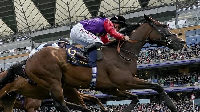 ASCOT, ENGLAND - JUNE 20: Tom Marquand riding Gilded Water (nearest) for The King & Queen in action during The King George V Stakes on day three during Royal Ascot 2024 at Ascot Racecourse on June 20, 2024 in Ascot, England. (Photo by Alan Crowhurst/Getty Images for Ascot Racecourse)