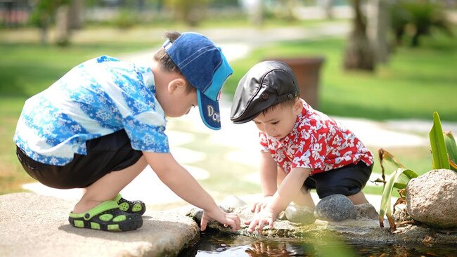 WILD WONDER: The tour hopes to bring Stanthorpe kids back to nature.