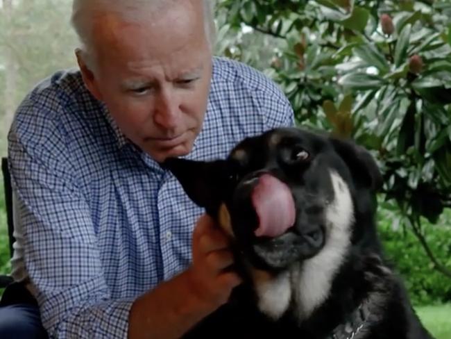 Joe Biden with his adopted dog, Major. Biden officials say Major will become the first rescue dog to live in the White House. Picture: Instagram