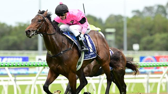 Luva Flutta is a $26 chance for the Magic Millions 2YO Classic.