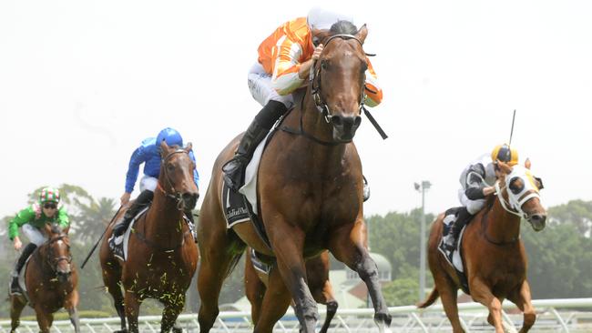 Ljungberg looks a good each-way chance on Sunday. Picture: AAP Image
