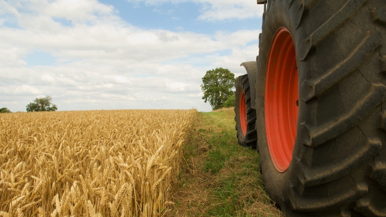 Drought-stricken NSW farms recover only to face new Chinese threat