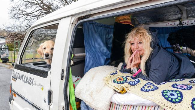 Carol Morris and her dog Ringo have been forced to live in a van since February. Picture: Brenton Edwards