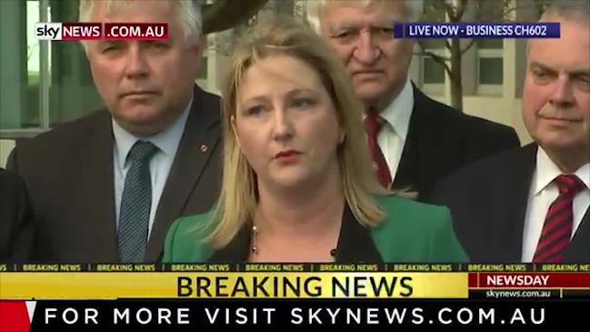 Rebeckha Sharkie resigns in the latest citizenship saga drama (Sky News)