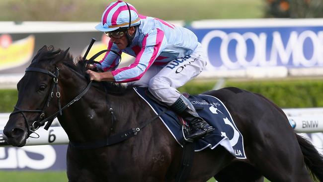 Ciaron Maher has told punters to forgive Azkadellia. (Photo by Jason McCawley/Getty Images)