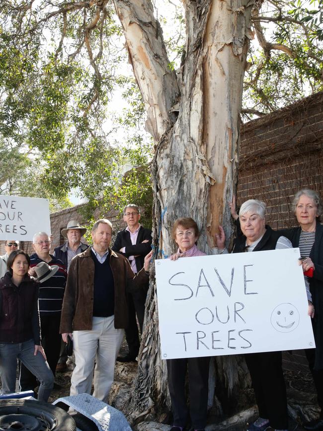 Eight paper bark trees to be removed along Tennyson Rd, Mortlake. Picture: Craig Wilson