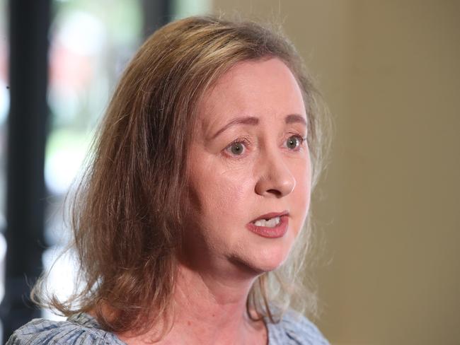 Minister for Health and Ambulance Services Yvette D'Ath speaks to media. Picture Glenn Hampson