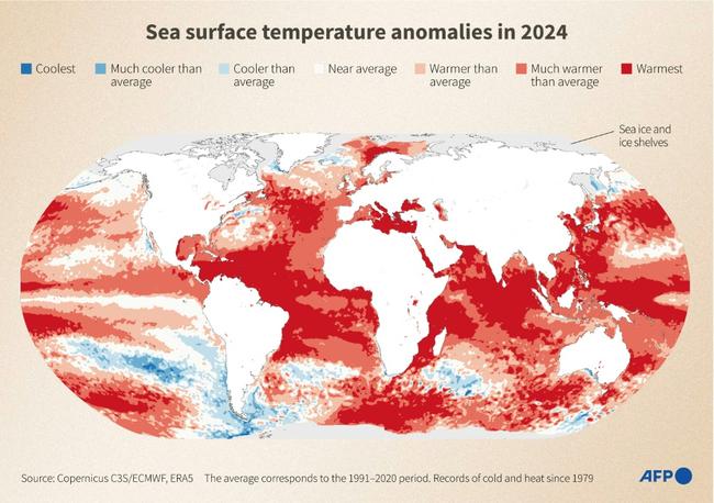 World map showing sea surface temperature anomalies in 2024, according to data from Copernicus