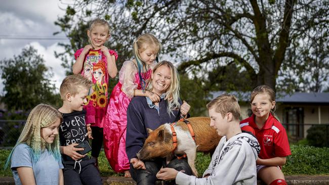 Pumpkin the rescue pig with his new family, the Vogelsangs of Milang – mum Brittany with (From left) Jasmine, 13, Troy, 8, Grace and Emma, 6, Tom, 14, and Natasha, 9. Picture: MIKE BURTON