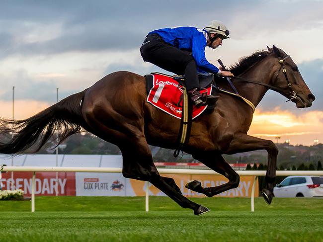 Winx doing track work as part of the film