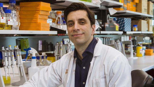 Monash University's Australian Regenerative Medicine Institute lead researcher Mikael Martino.