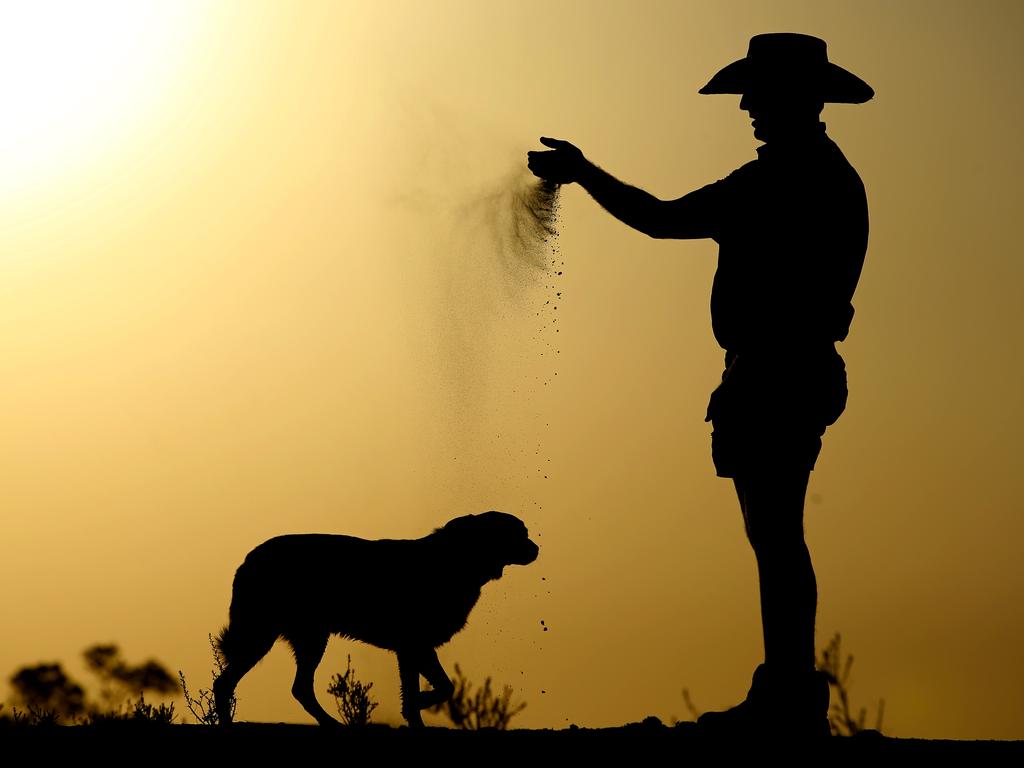 Walgett farmer Sam Evans on his bone dry property near Walgett with his dog. Picture: Nathan Edwards