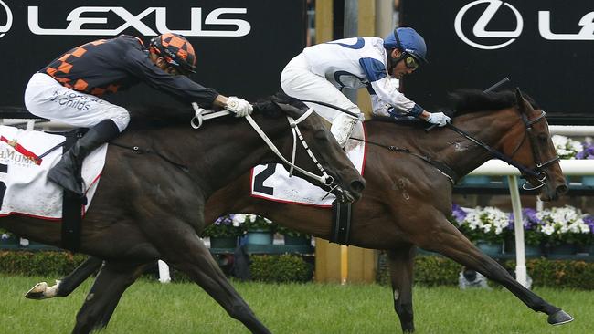 Derby Day at Flemington will be held on October 31. Picture: Getty Images