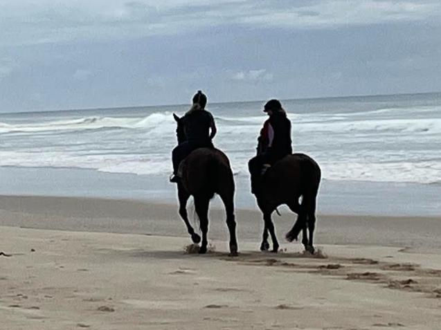 Racehorse trainer Stephen Lee sends his horses to the beach from his new property in South Ballina. Picture: Supplied