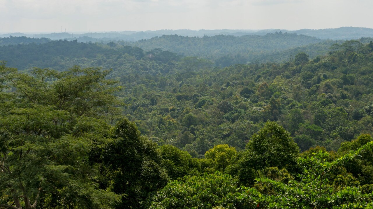 Australian man arrested on drunk and naked rampage in Indonesia