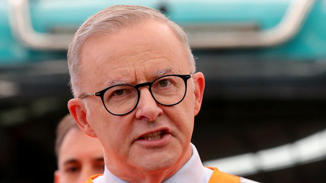 Labor leader Anthony Albanese. Picture: Toby Zerna