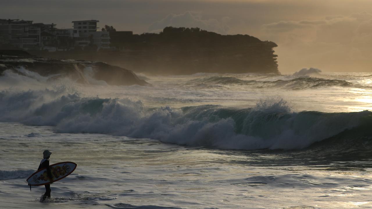 Early morning surfers made the most of the swell at Bronte. Picture: John Grainger