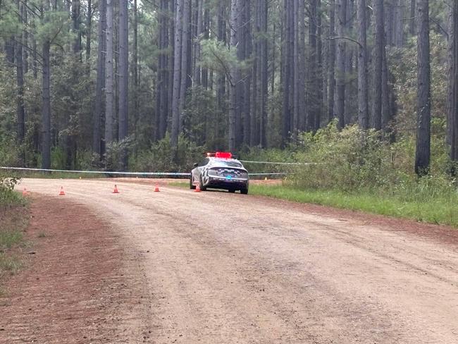 Police blocked the road in the state forest in Talegalla Weir, where a man's body was found on March 16, 2025. Source: Carlie Walker