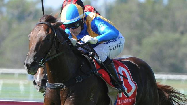 Winning Rupert makes a successful debut at the Sunshine Coast.