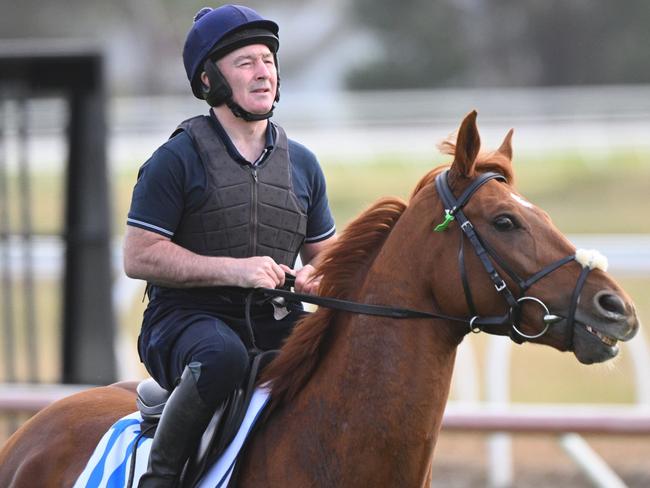 MELBOURNE, AUSTRALIA - OCTOBER 14: Dave Casey riding the  Willie Mullins trained Vauban during trackwork session at Werribee International Horse Centre on October 14, 2024 in Melbourne, Australia. (Photo by Vince Caligiuri/Getty Images)