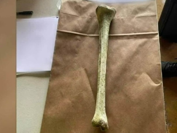 Update on bone found at popular beach