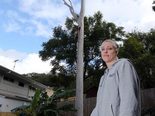 Tree stoush: ‘Bill’s probably still not happy’