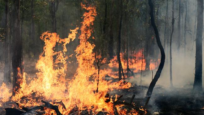 A Bendigo miner lit than 30 fires while camping at Ulupna island on the Easter weekend of 2024.