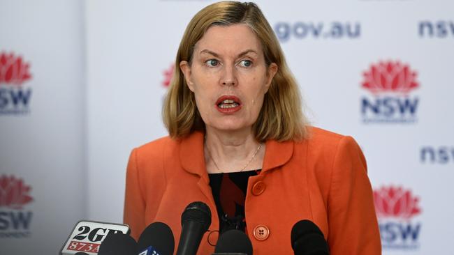 Chief health officer Kerry Chant gave a detailed update on the situation in regional NSW. Picture: NCA NewsWire/Bianca De Marchi