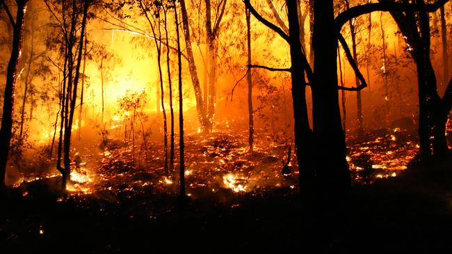 A Warner’s Bay woman has been charged with bushfire fraud offences. Istock